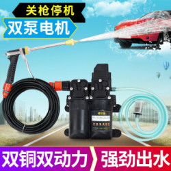 车载洗车水枪高压洗车机双泵12v便携电动洗车器家用洗车泵刷车工具 经典款双泵-标配长水枪 *3件