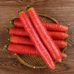 陕西大荔沙地水果胡萝卜9斤生吃新鲜红心脆甜沙窝红萝卜蔬菜