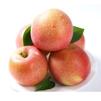 蔬农联 大凉山丑苹果盐源苹果  净重8.5斤大果（70-80mm）
