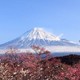  历史低价：正樱花季，含小长假！日本航空直飞！上海-东京/大阪往返含税机票　