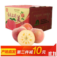 唐鲜生 山西冰糖心苹果非阿克苏 14-16个 约10斤（约85-95mm) 