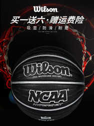 Wilson 威尔胜 室内外篮球