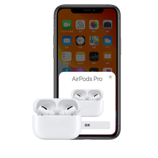 Apple 苹果 AirPods Pro 入耳式真无线降噪蓝牙耳机