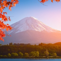 枫叶季!重庆-日本东京+大阪6天1晚自由行(白班机直飞)