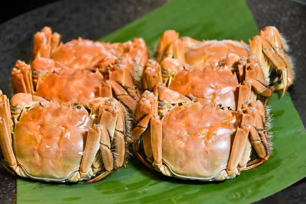 吃货福利：清蒸大闸蟹畅吃+韩泰风味美食 上海扬子江万丽大酒店大闸蟹和亚洲美食自助晚餐