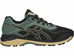 ASICS 亚瑟士 GT-2000 6 Trail 男款支撑越野跑鞋 *3