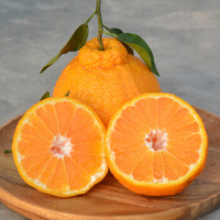 新鲜 丑橘 丑八怪橘子2.5kg 丑橘3斤