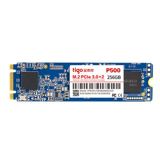 金泰克256GB SSD固态硬盘 M.2接口 P500系列 PCIE3.0*2 2280板型