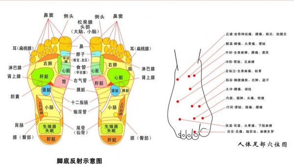 上海 感智盲人按摩艾灸养生馆经典盲人按摩/足浴套餐（2选1）