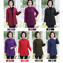yishinuo 伊诗诺 高品质中长款羽绒服 YSN-2618