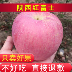 陕西红富士礼泉丑苹果10斤18.8元