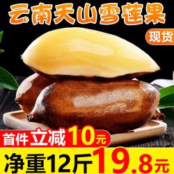 甘福园 云南天山雪莲果12斤新鲜当季水果孕妇应季10整箱批发包邮