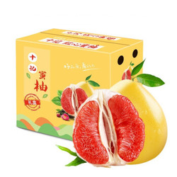 梅珍 柚子福建蜜柚红心柚子 红肉蜜柚新鲜水果 红柚含箱10斤(净果8.5-9斤）礼盒装