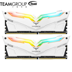 十铨(Team) 夜鹰RGB灯条 DDR4 3200 16G(8G×2)套装 台式机 内存条 DDR4 3200 8G*2夜鹰白色版