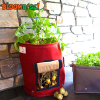 Bloombagz 儿童阳台种植盆（土豆 胡萝卜）
