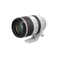 Canon 佳能 RF70-200 F2.8 L IS USM 专微全画幅大三元镜头
