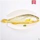 菜帮 新鲜深海冰鲜大黄鱼（450-550g/条） *3件