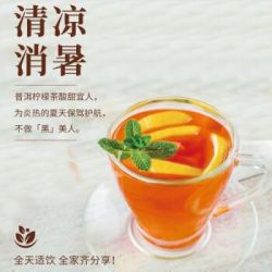 寿全斋柠檬普洱茶饮料 冰红茶爱克林便携环保200ml*12袋整箱装(双重优惠) *3件
