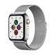 Apple Watch Series 5 （GPS+蜂窝网络款 44毫米不锈钢表壳 )