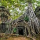 每日机票推荐：湄澜航空直飞！含正春节！广州/深圳-柬埔寨金边/暹粒机票