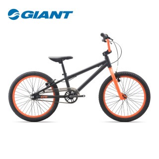 GIANT 捷安特 GFR 20轻量铝合金童车单速20寸儿童自行车