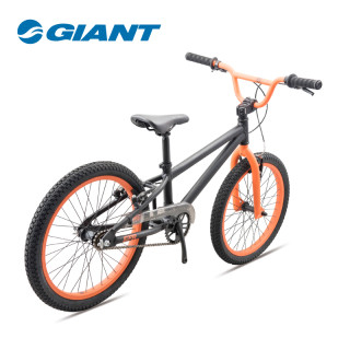 GIANT 捷安特 GFR 20轻量铝合金童车单速20寸儿童自行车