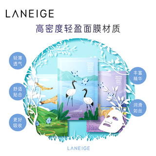 LANEIGE 兰芝 水凝肌面膜 16ml/10片装贴毛孔护