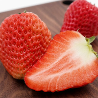 静益乐源草莓 鲜草莓 红颜草莓 四川大凉山新鲜草莓 净重5斤大果礼盒装单果18-25g 3斤装