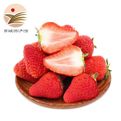 静益乐源 红颜草莓 巧克力奶油草莓 3斤精品果