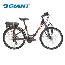 GIANT 捷安特 Giant捷安特Tour DX E+低跨点旅行长程8速智能电动助力自行车