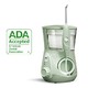  Waterpik 洁碧 ADA认证 WP-668 Aquarius (国内需配合变压器使用)　