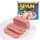 SPAM 世棒 午餐肉罐头 经典原味/黑胡椒味 340g *14件