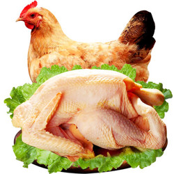 农家散养土鸡，三黄鸡 活鸡1.2kg左右，现杀净重超800g *2件