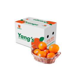 杨氏 YANG'S精品赣南脐橙 精选3斤装*4件+ 京觅 精品甜脆柿子 2kg装