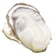 晋村 乳山牡蛎 净重约4.5斤(1-2两约33头)
