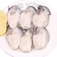 乳山鲜活刺身生蚝海蛎子牡蛎烧烤火锅食材 海鲜水产 爆款5斤 （约20-25个）