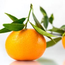 爱媛38号果冻橙柑橘橙子桔子5斤装大果单果重量约210g250g