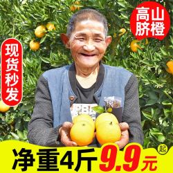橙子 脐橙水果新鲜整箱当季现应季包邮4斤果冻橙冰糖橙柑橘甜橙10