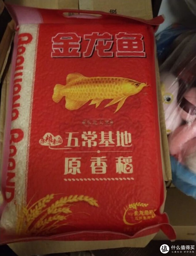 金龙鱼大米