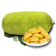 海南菠萝蜜黄肉大树木波罗蜜15-20斤 三亚新鲜应当季热带水果红40