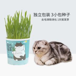 猫酱网红猫草种子猫草杯套装 什么值得买 猫酱网红猫草种子猫草杯套装 什么值得买