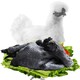 京东PLUS会员：淘穗 散养乌鸡 处理后约 1kg *2件