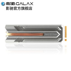 影驰 名人堂HOF PRO M.2 PCIe 4.0 2280 SSD M.2 1 TB