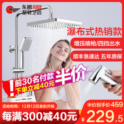 东鹏卫浴(DONG PENG)卫浴花洒套装 精铜花洒喷头沐浴妇洗喷枪神器