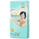 Pampers 帮宝适 一级系列 婴儿纸尿裤 L52片