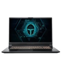 ThundeRobot 雷神 911GTS 17.3英寸游戏本（i5-9400、8GB、128GB+1TB、GTX1650、72%）