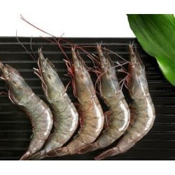 简味鲜 活冻泰国虾 500G 12-15只/盒 *3件