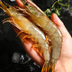京东PLUS会员：渔吻 新鲜厄瓜多尔进口白虾（单只13-14cm) 带冰4斤