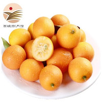静益乐源 四川不知火丑橘 5斤