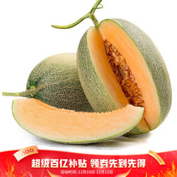 海南新鲜水果 西州蜜哈密瓜网纹瓜1粒装 （2-3斤）